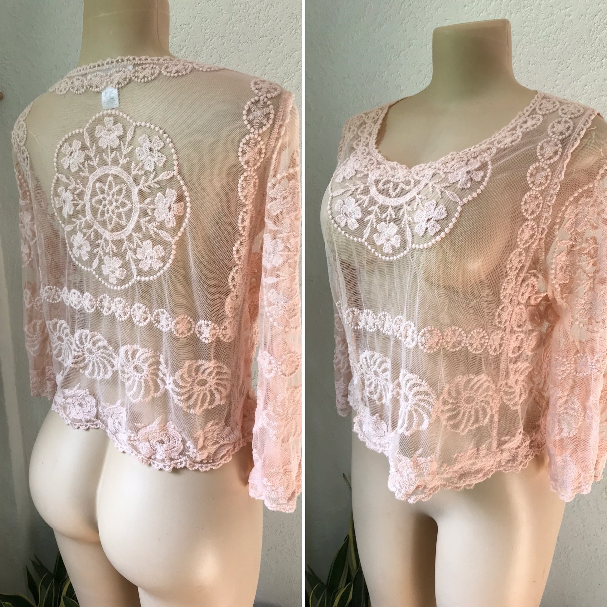 Nude Pink Embroidery Detail Mesh Blouse