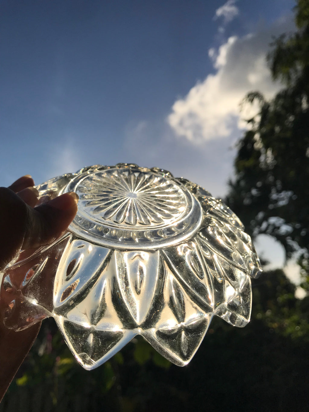 Set of 2 +++ vintage lotus flower glass dishes clear 6 inch dia