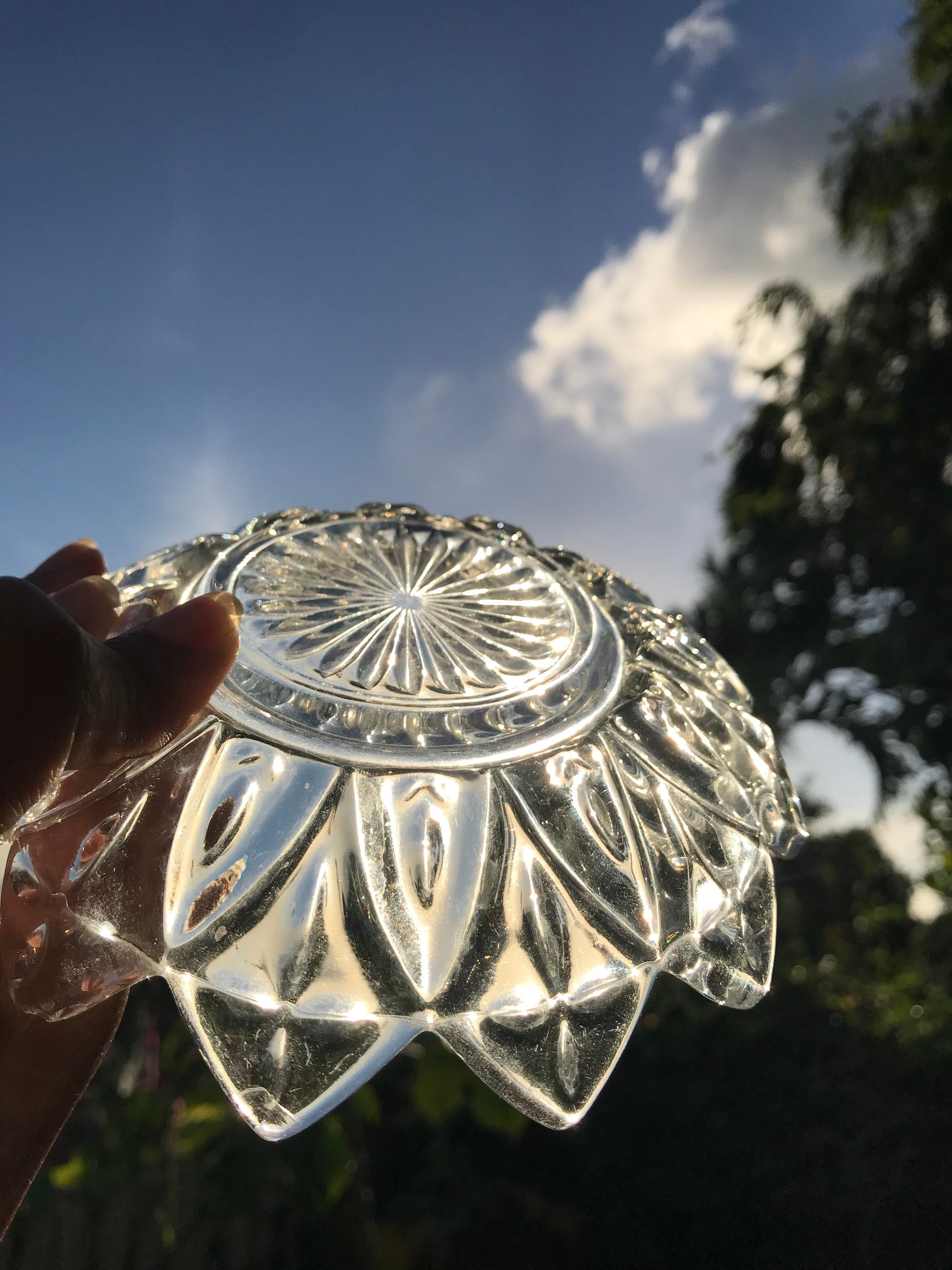 Set of 2 +++ vintage lotus flower glass dishes clear 6 inch dia