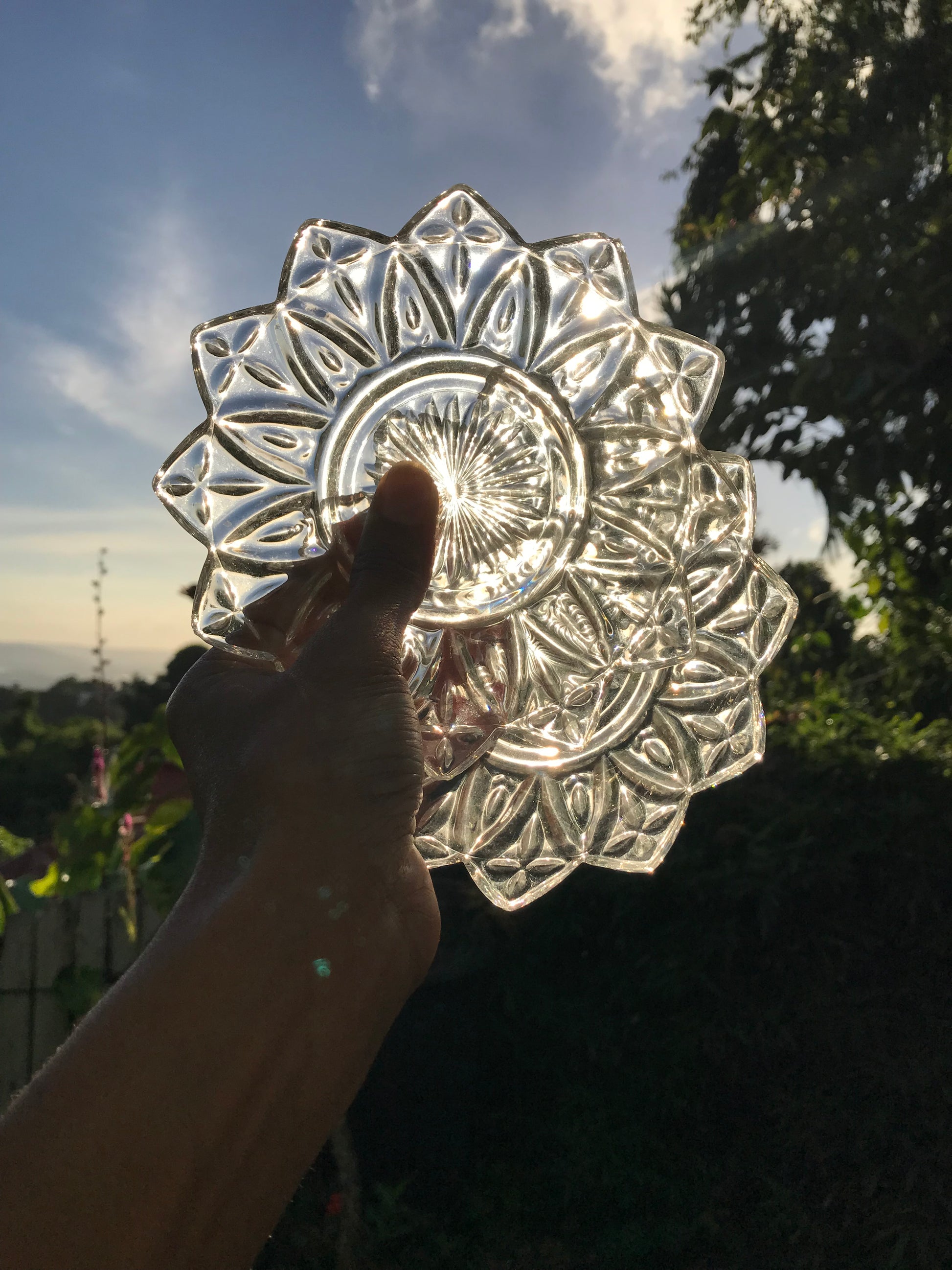 Set of 2 +++ vintage lotus flower glass dishes clear 6 inch dia