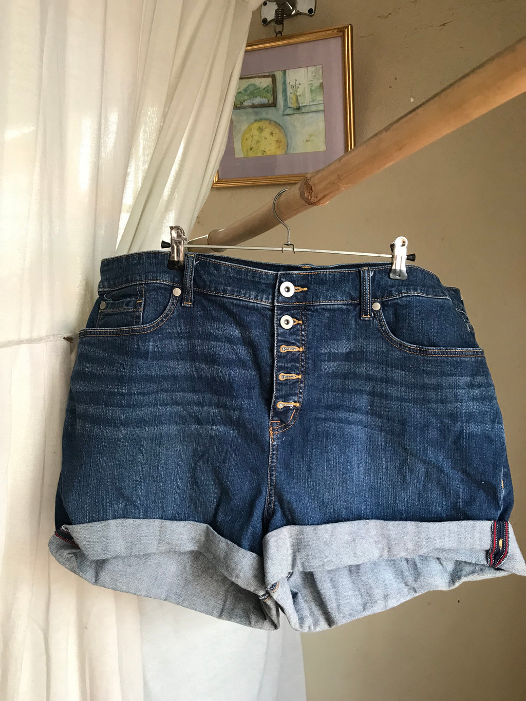 blue cuffed denim shorts plain button down /xl : size 22