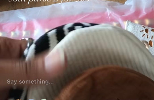 zebra stripe coin purse