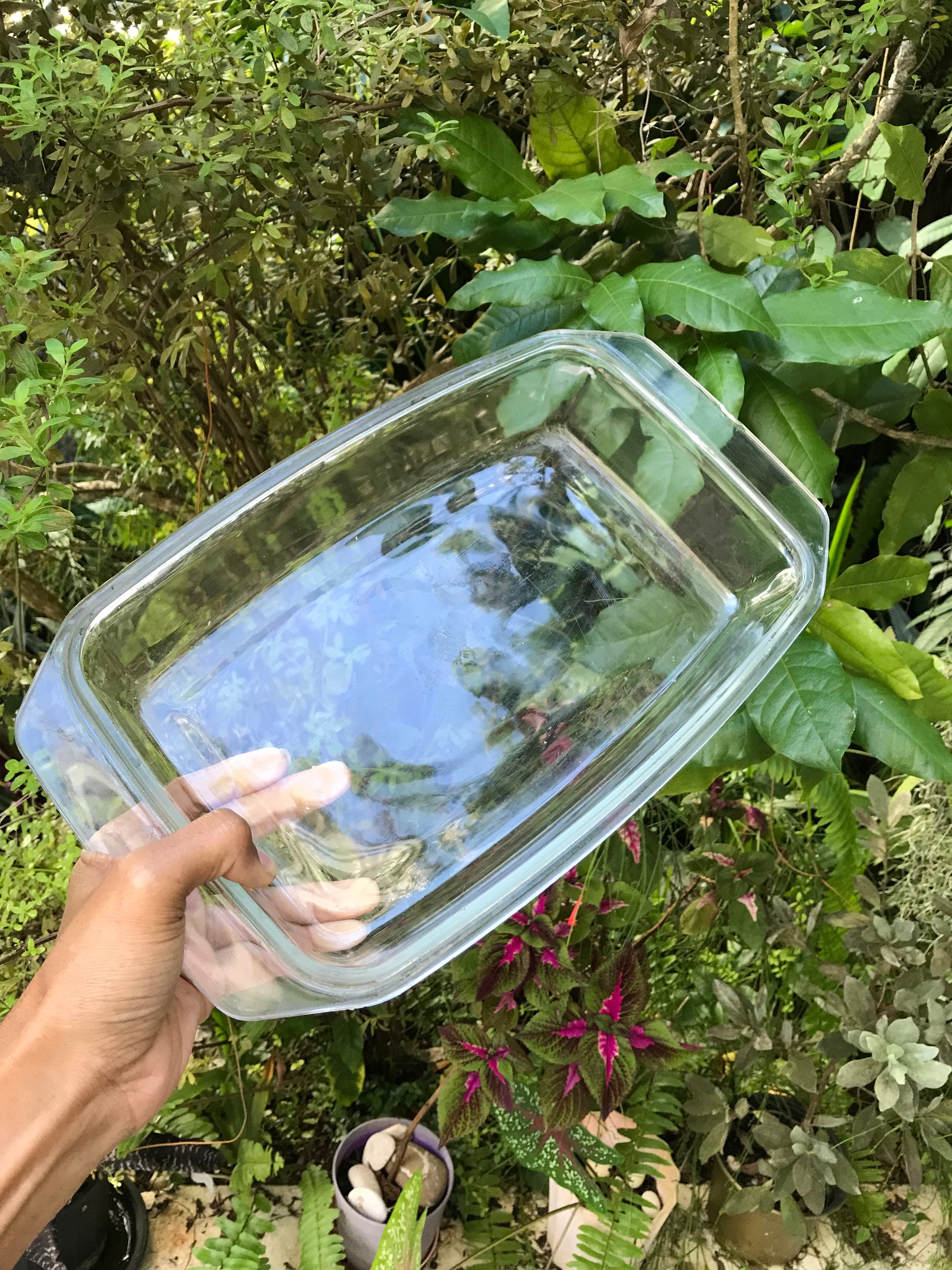 13.5" oven pyrex dish +++
