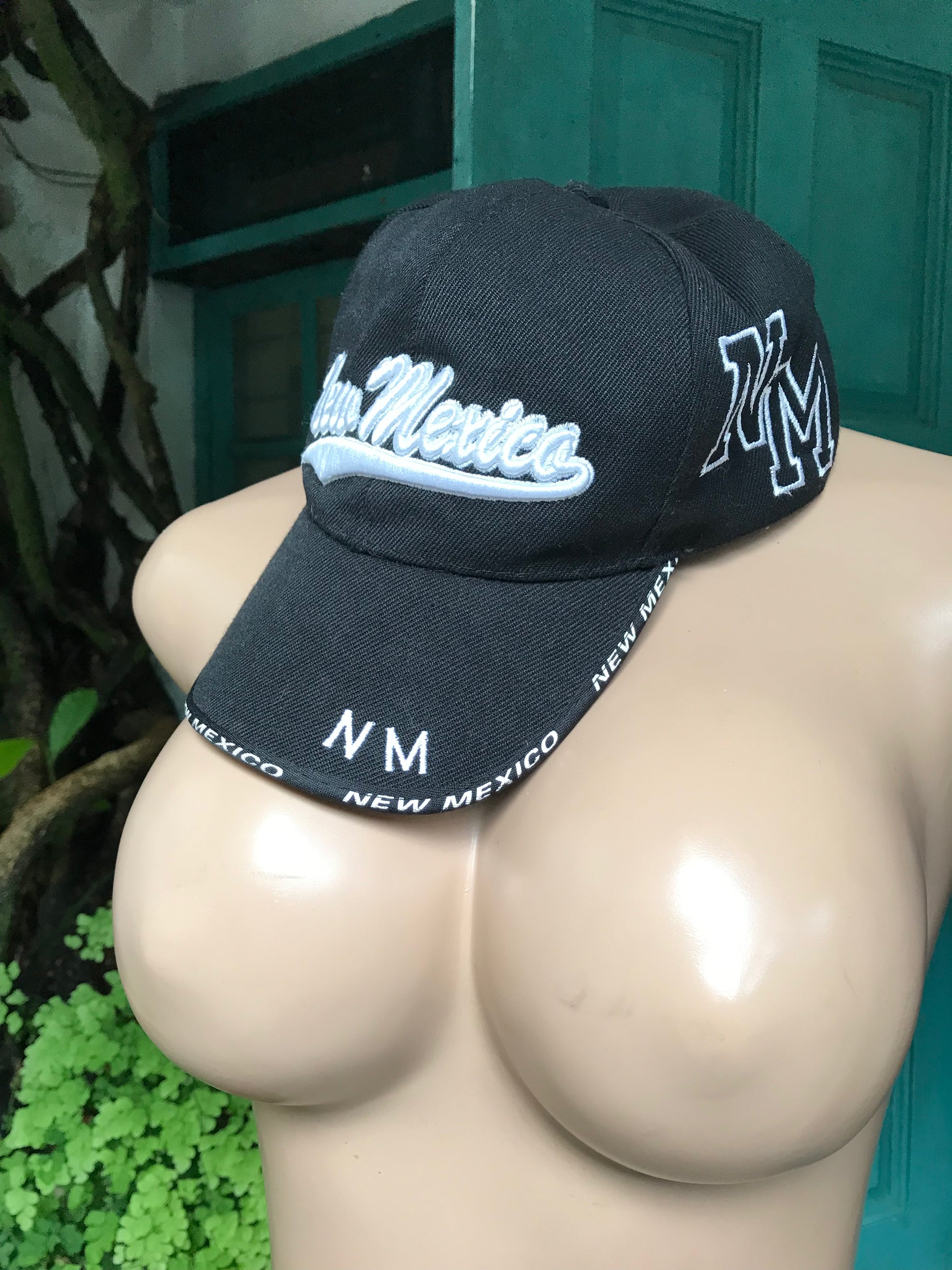 B&W New Mexico Cap unisex