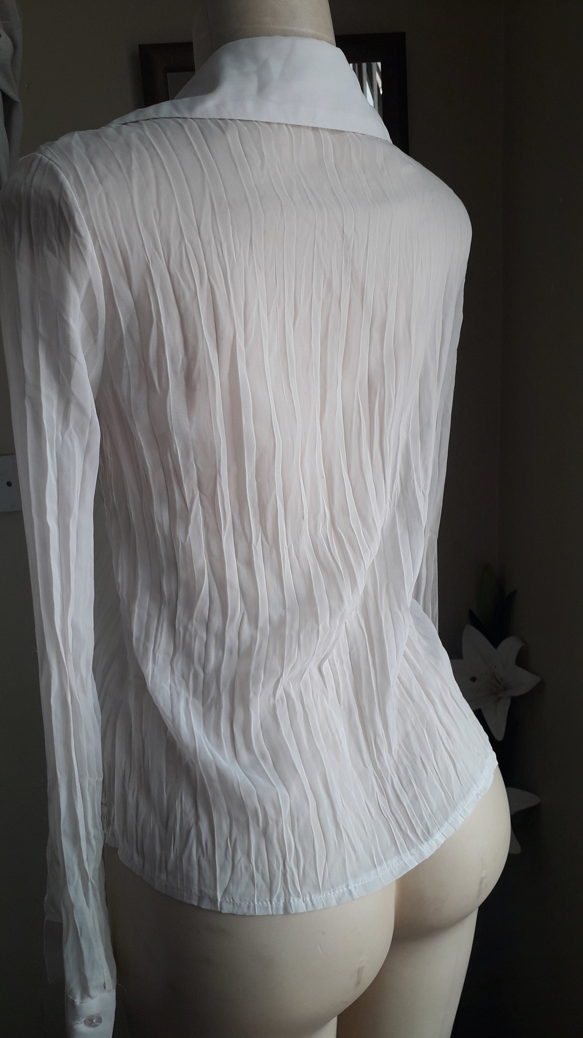 vintage white embroidery pleat sheer  long sleeve blouse ... s