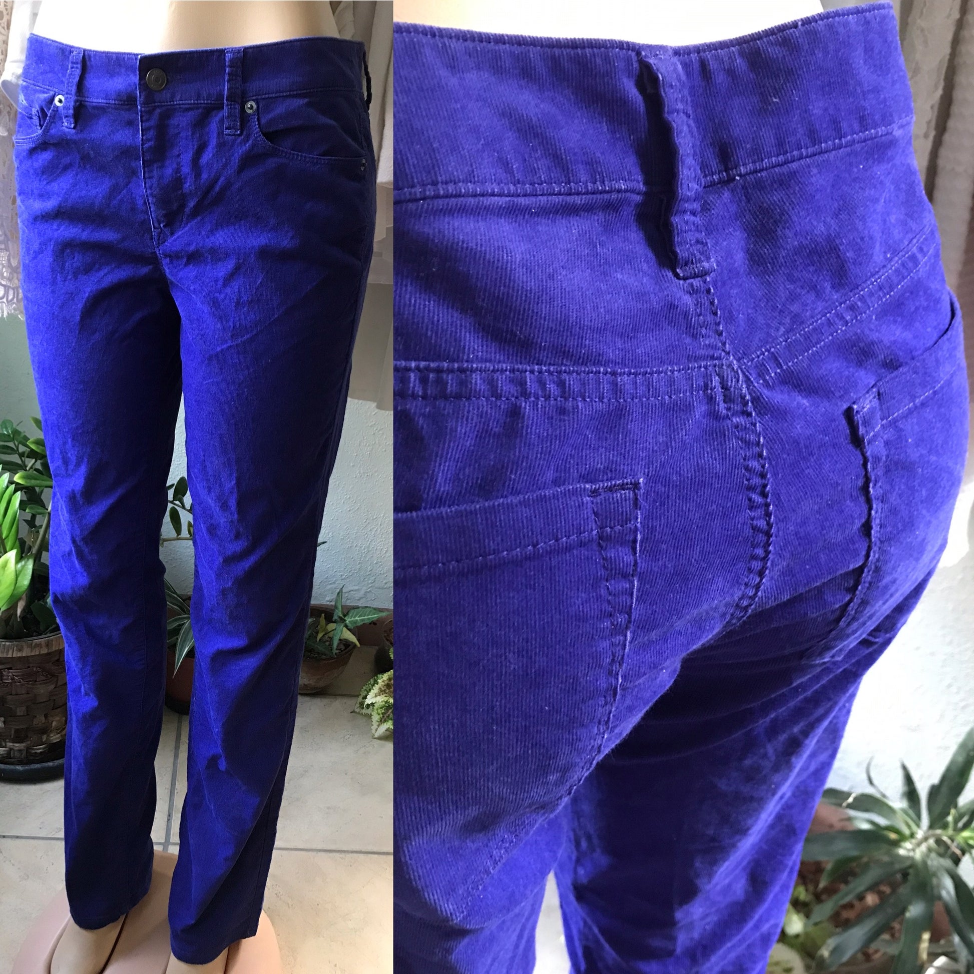 Ann Taylor LOFT Purple Corduroy 'Modern Straight' Pant . W29