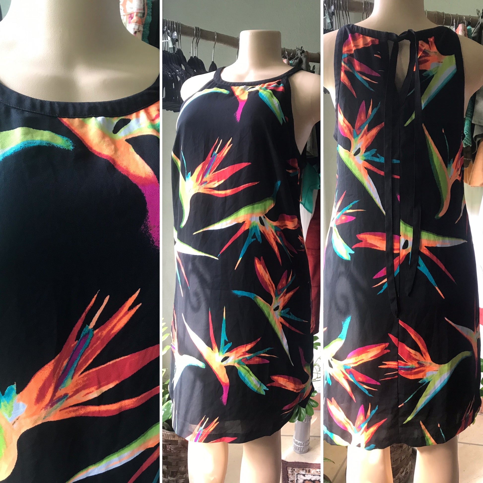 Black Bird Of Paradise Sheer Dress