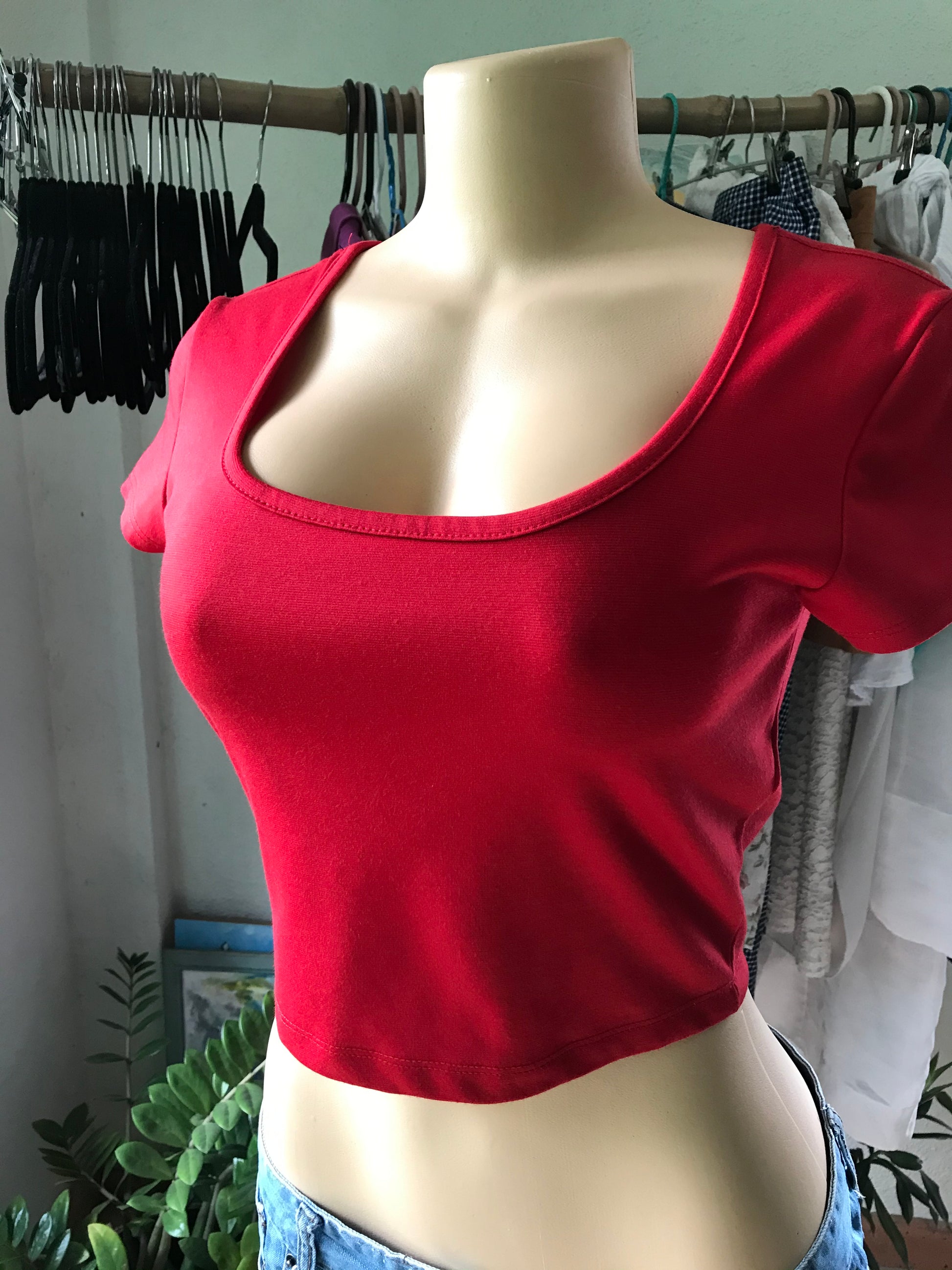 Forever 21 Red Zip Crop Top