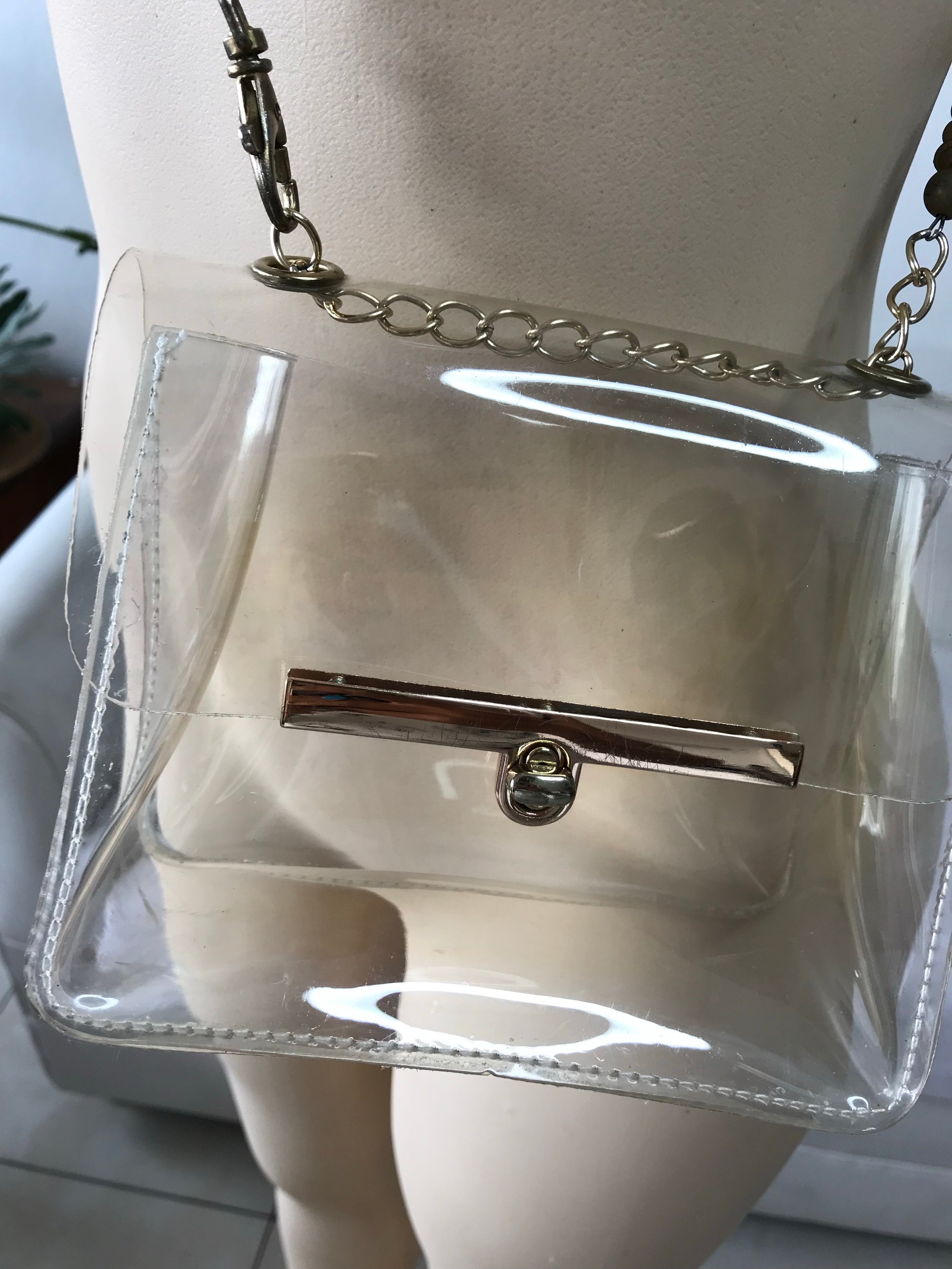 Transparent Crossbody Bag