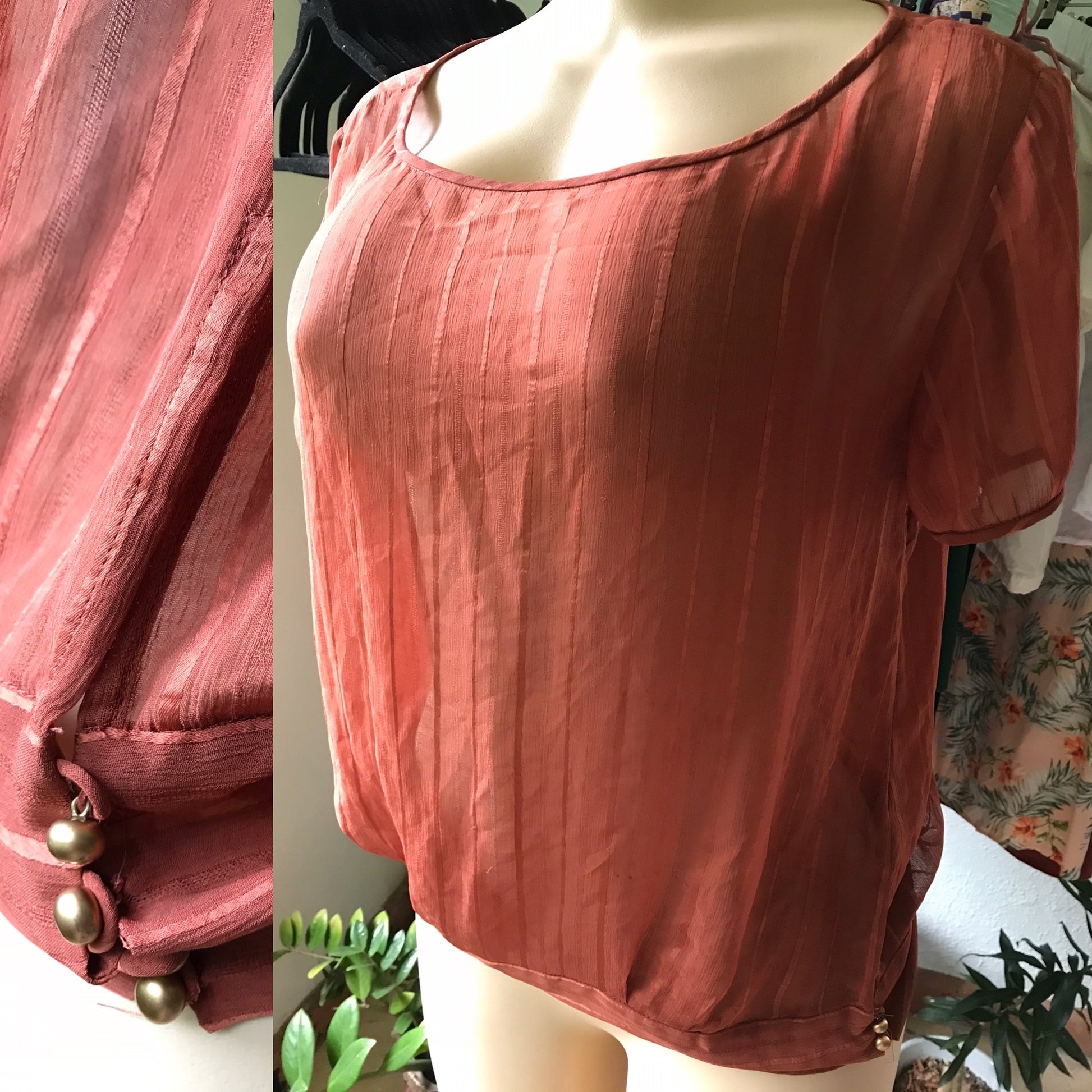 Banana Republic Rust Sheer Blouse