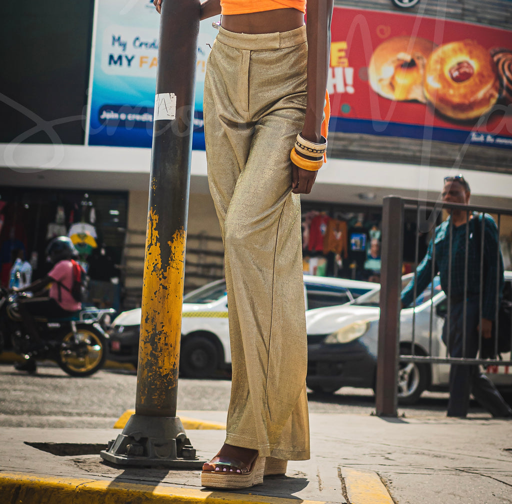 Statement Set Gold High Waist Palazzo Pants - S/M  / W27 :::